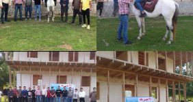 تربیت اسب کورس