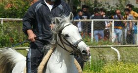 انتظام